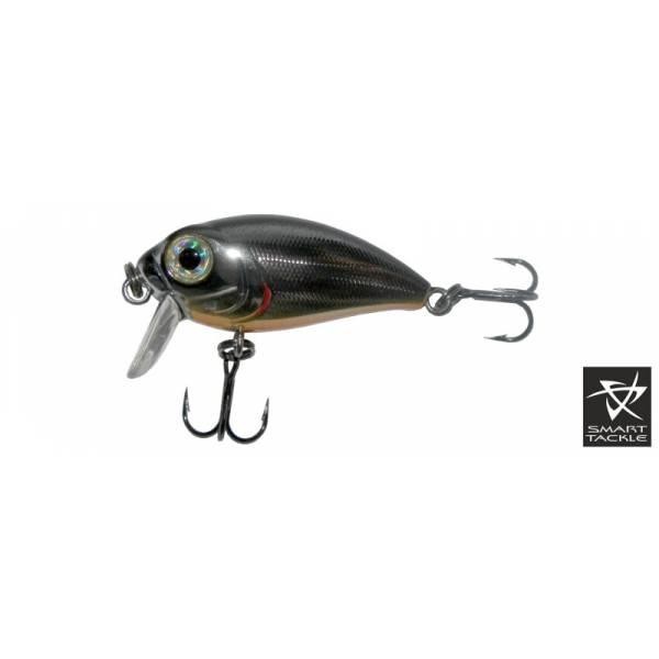 Файл:Kosadaka Roger Surf 36F SBL .jpg