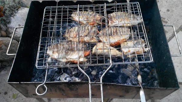 Файл:Карась на углях.jpg