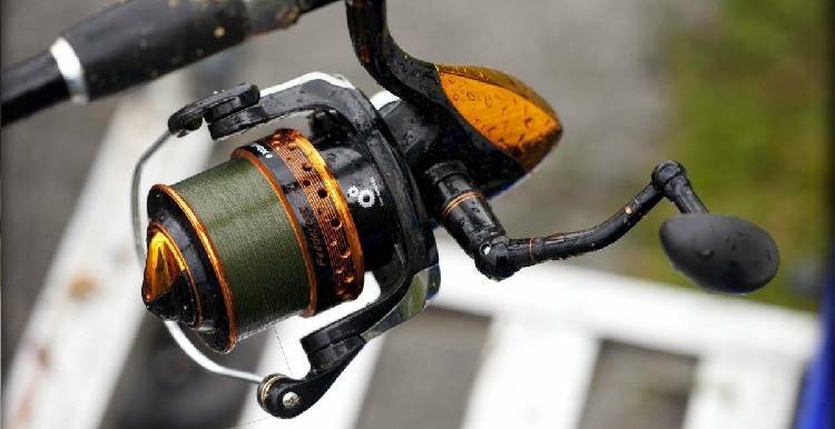 Файл:Катушка для фидера.jpg