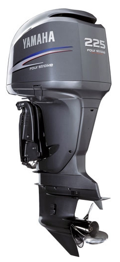 Файл:Yamaha FL225BETX.jpg