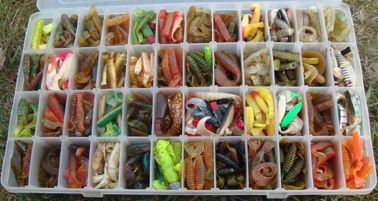 Файл:Разнообразие цветов у приманок.jpg