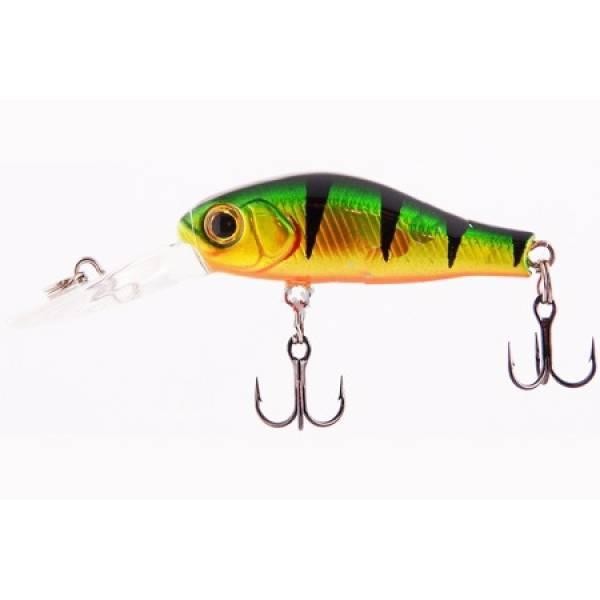 Файл:Kosadaka Ion XL 32F PBL .jpg