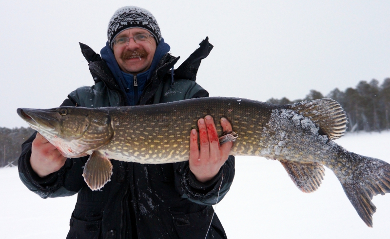 Файл:Рыбалка на Ямале.jpg