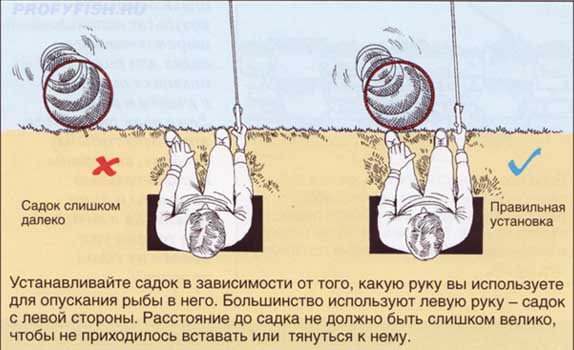 Файл:Установка садка.jpg