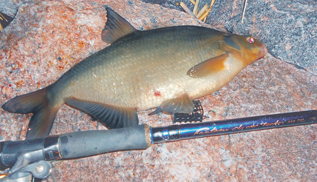 Файл:Рыбалка в Санкт-Петербурге.jpg