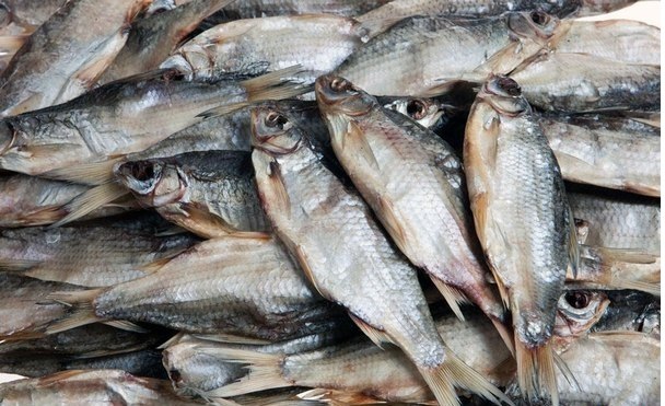 Файл:Сушеная густера.jpg