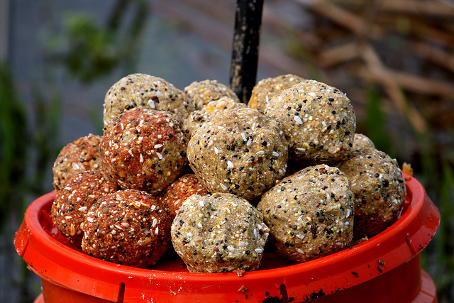 Файл:Прикормка для сазана.jpg