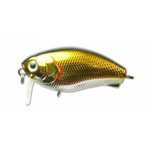 Файл:Kosadaka Raven SH 50F CNT .jpg