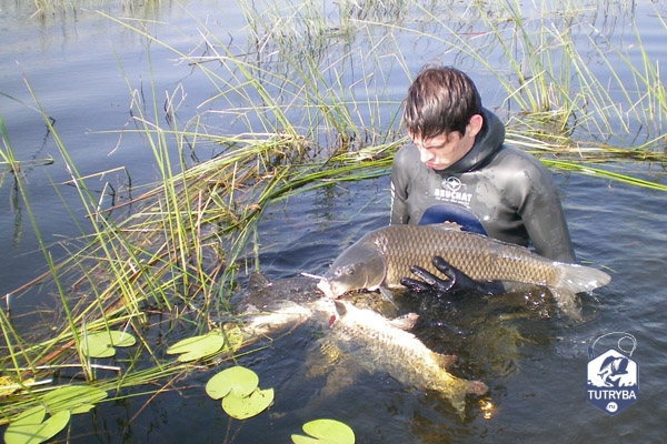 Файл:Рыбалка в Ростове-на-Дону.jpg
