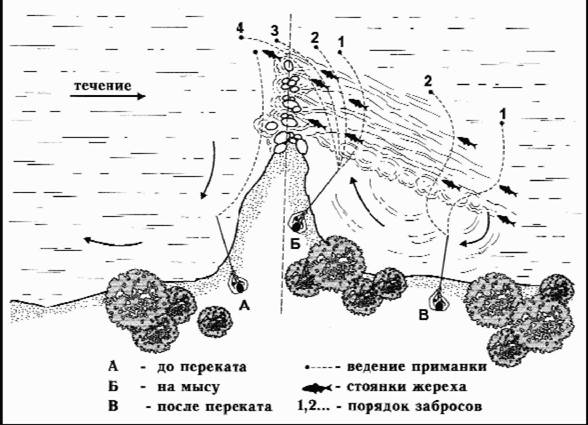 Файл:Рис. 6. Порядок облова жереха после переката.jpg
