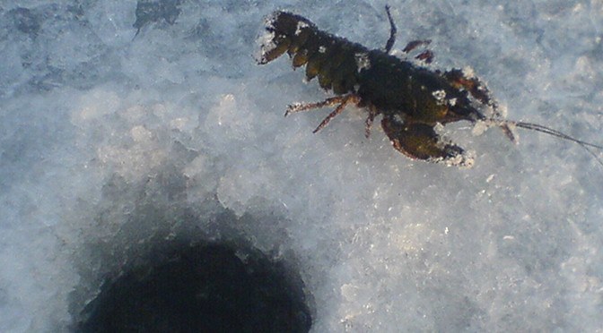 Файл:Ловля раков зимой.jpg