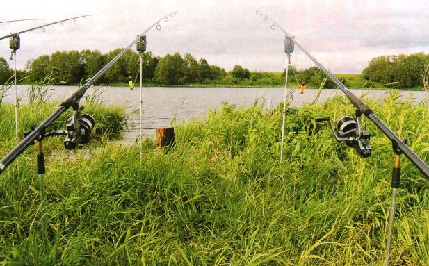 Файл:Ловля рыбы в августе.jpg