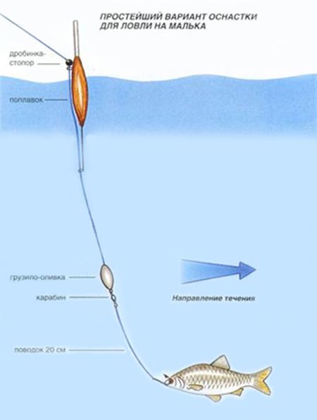 Файл:Поплавочная удочка на живца.jpg