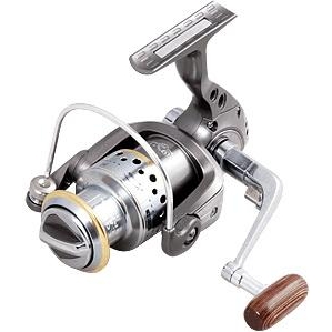 Файл:Teben Platinum PT500 9 1b.jpg