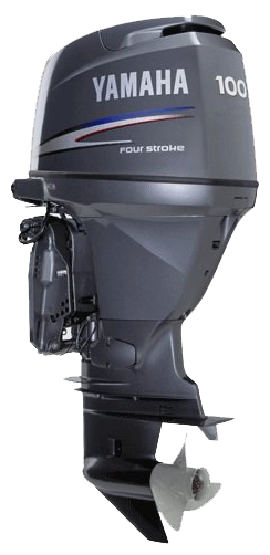 Файл:Yamaha F100BETL.jpg