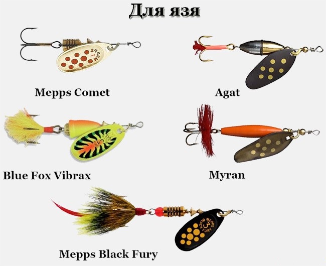 Файл:Вращающиеся блесны для ловли язя на спиннинг.jpg