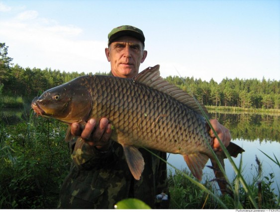 Файл:Рыбалка в Тюменской области.jpg