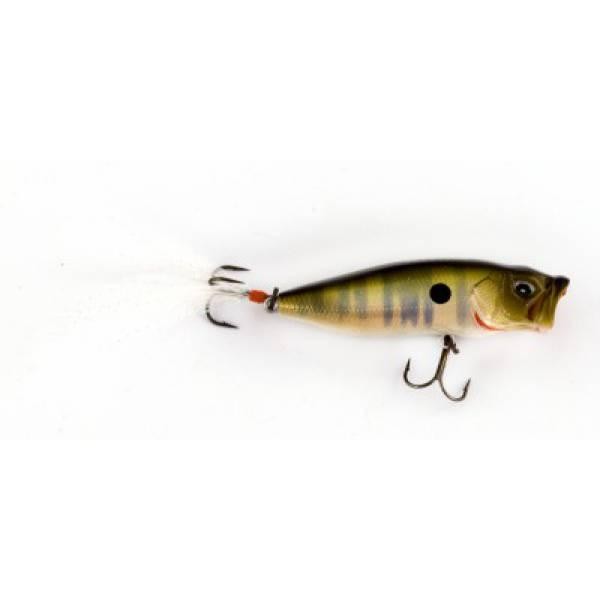 Файл:Kosadaka Takao 55F PNT .jpg