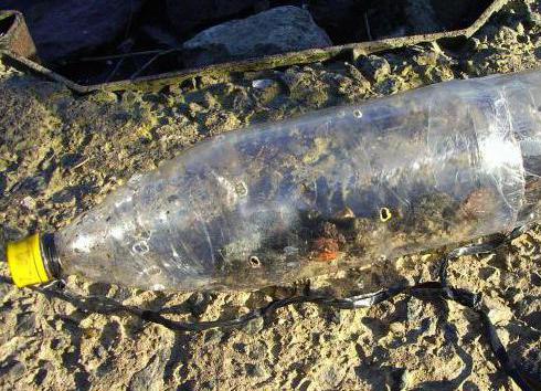 Файл:Кормушка из бутылки.jpg