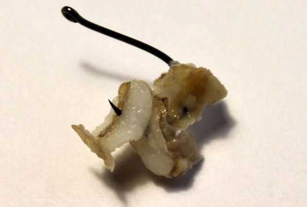 Файл:Перловка на крючке.jpg