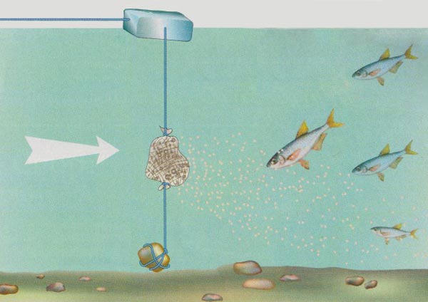 Файл:Самодельное устройство для прикормки уклейки.jpg