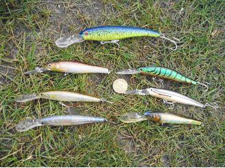 Файл:Глубоководные Minnow.jpg