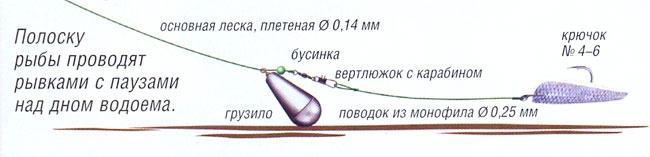Файл:Оснастка для ловли со дна на нарезку.jpg