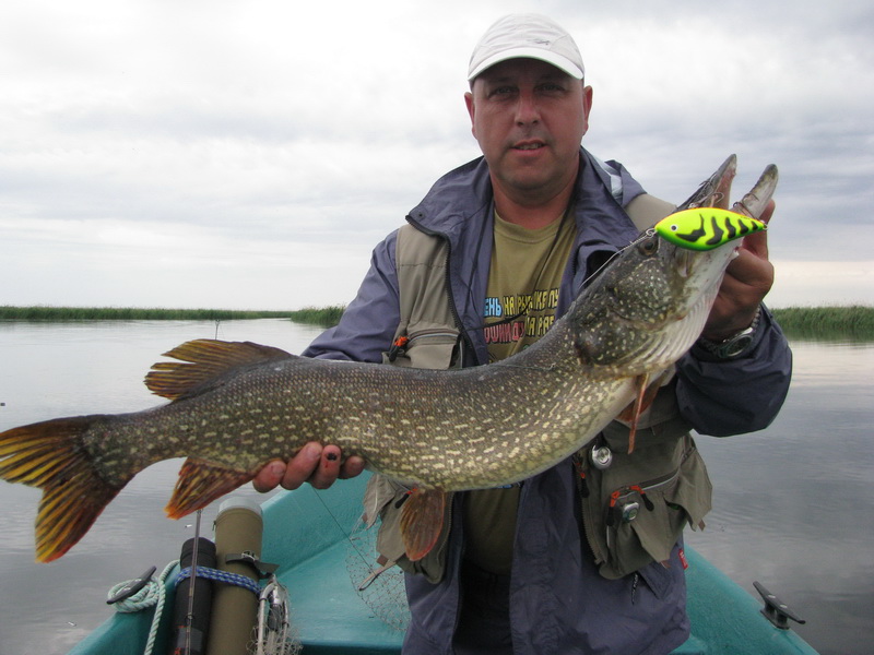 Файл:Рыбалка на Волге.jpg