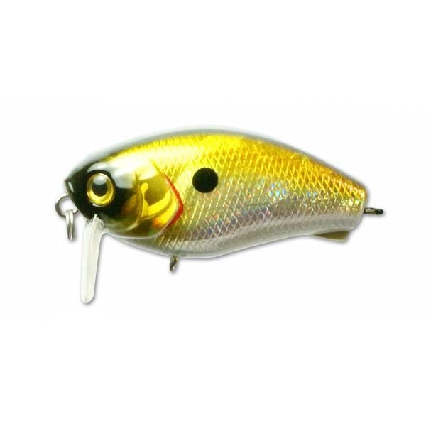 Файл:Kosadaka Raven SH 50F GTR .jpg