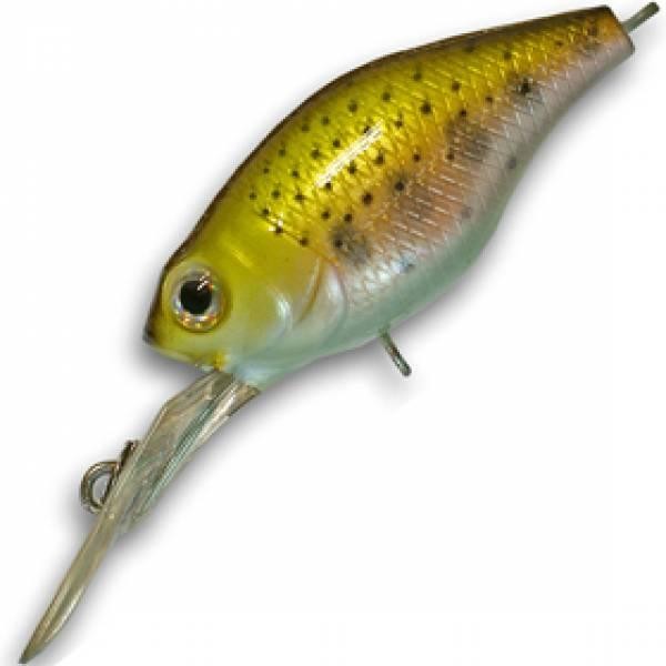 Файл:Kosadaka Raven XL 40F NT .jpg