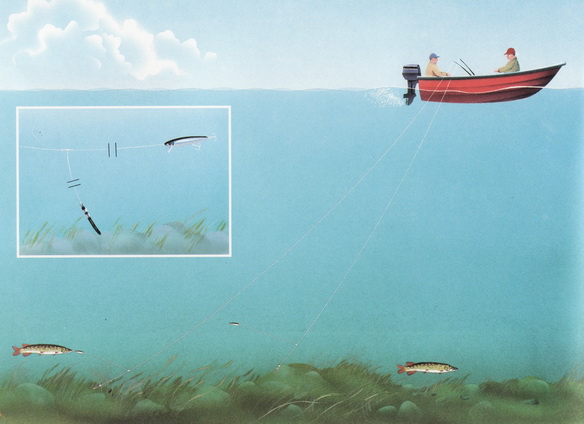 Файл:Техника ловли троллингом.jpg