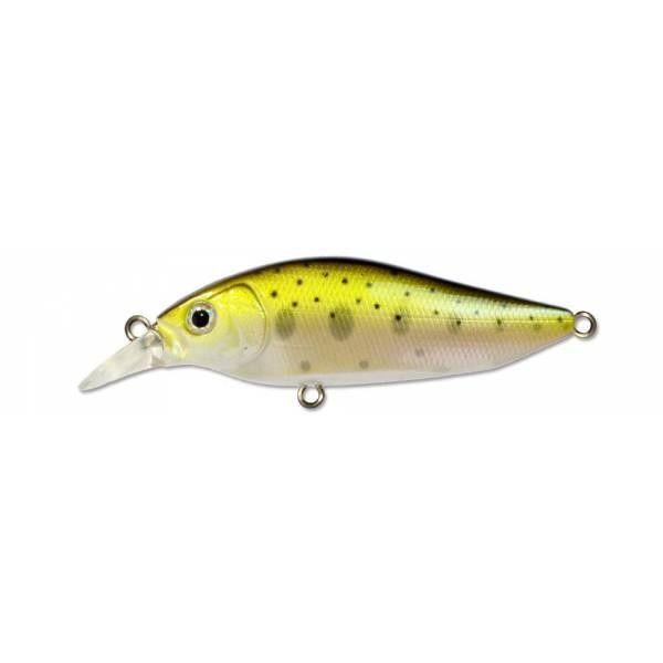 Файл:Kosadaka Inborn XS 75F NT .jpg