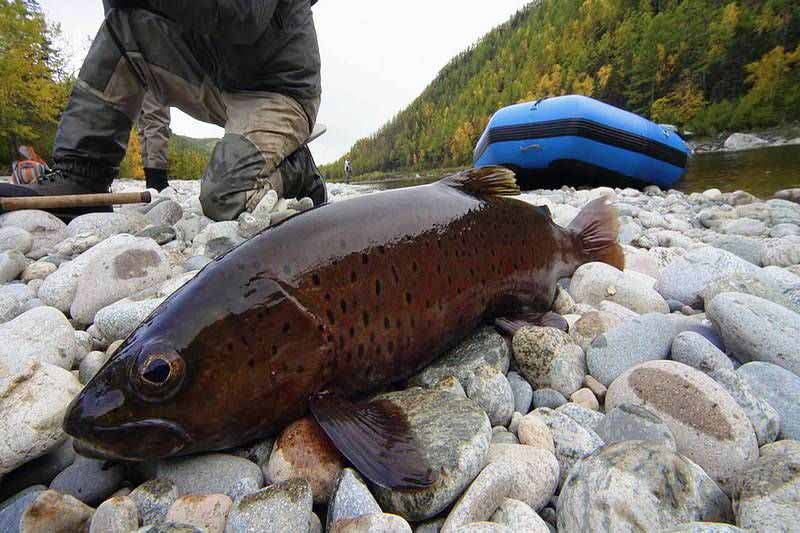 Файл:Рыбалка на ленка.jpg