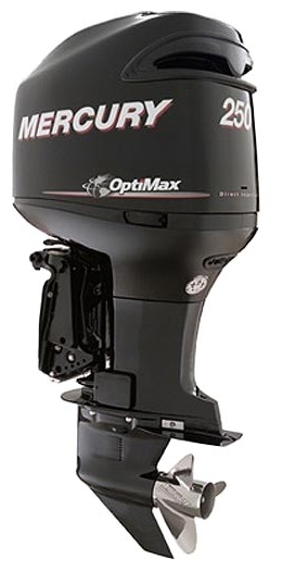 Файл:Mercury ME 250 CXXL Optimax.jpg