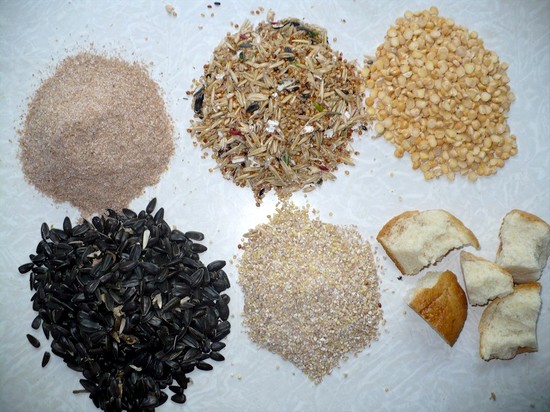 Файл:Основные компоненты прикормки.jpg