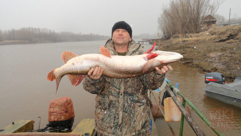 Файл:Рыбалка в Ханты-Мансийском автономном округе.jpg