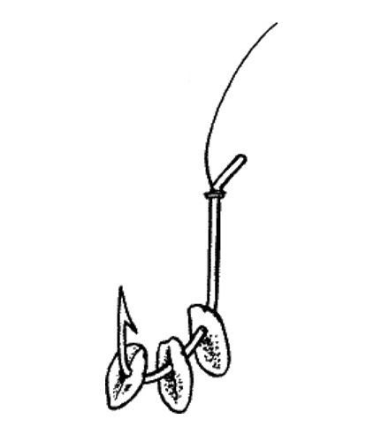 Файл:Геркулес на крючке.jpg