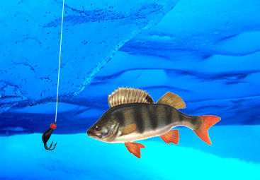 Файл:Техника ловли на мормышку.jpg