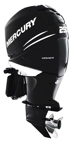 Файл:Mercury ME F 250 CXXL Verado.jpg
