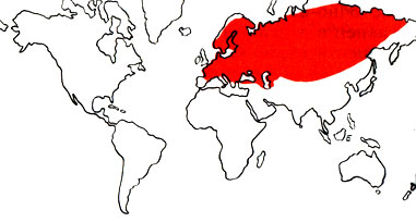 Распространение окуня.jpg