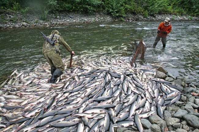 Файл:Рыбалка в Сахалинской области.jpg