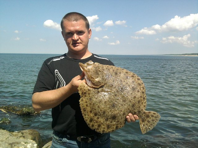 Файл:Ловля камбалы.jpg