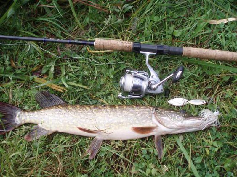 Файл:Ловля рыбы спиннингом.jpg