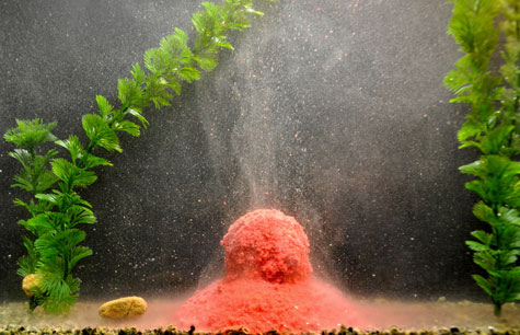 Файл:Прикормка в водоеме.jpg