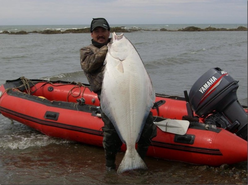 Файл:Морская рыбалка на Камчатке.jpg