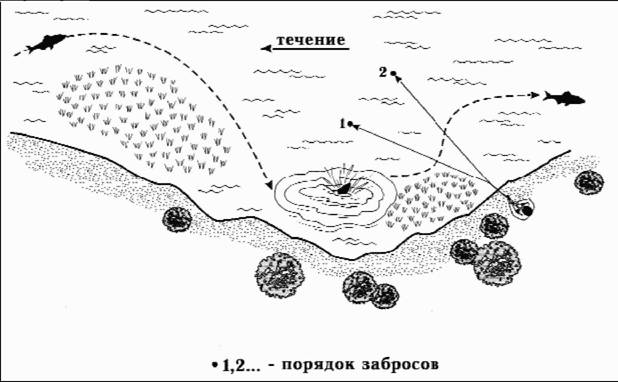 Файл:Рис. 12. Порядок выполнения забросов при ловле на всплеск среди травы.jpg