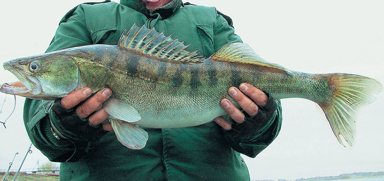 Файл:Рыбалка в Татарстане.jpg