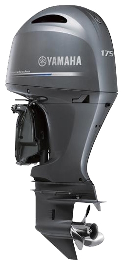 Файл:Yamaha F175AETL.jpg