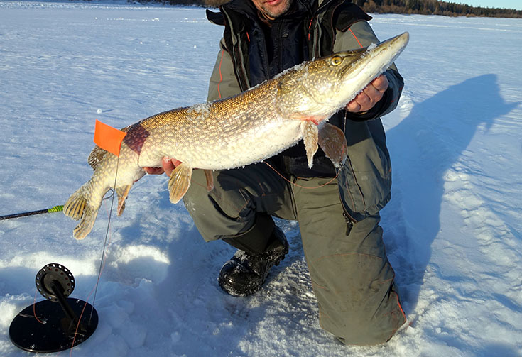 Файл:Рыбалка в Тюмени.jpg