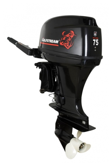 Файл:Golfstream Т75BML-D.jpg